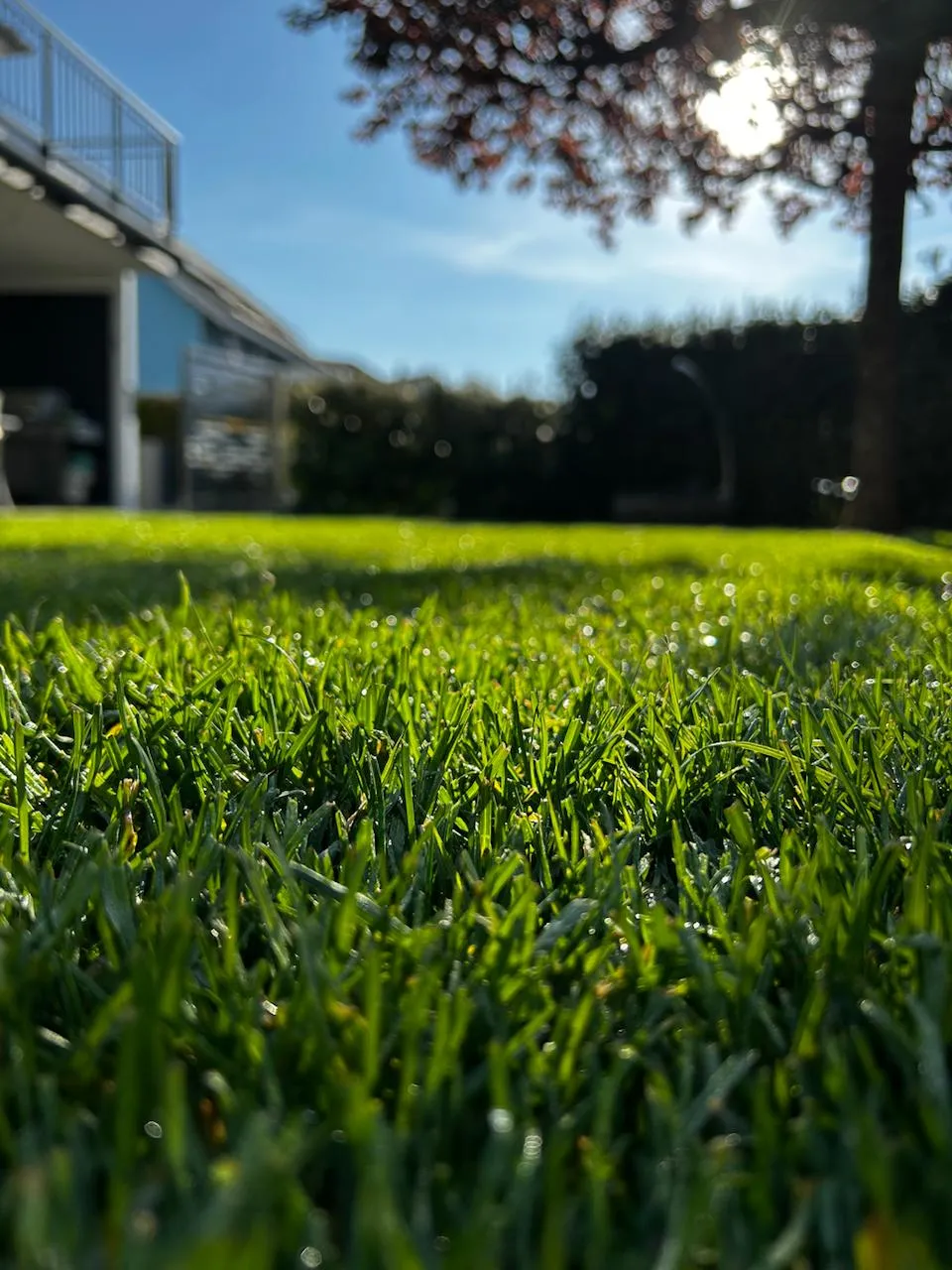 Unterhaltsplanung - Massgeschneiderte Gartenpflege-Abonnements